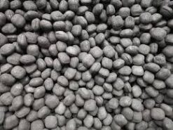 Coal